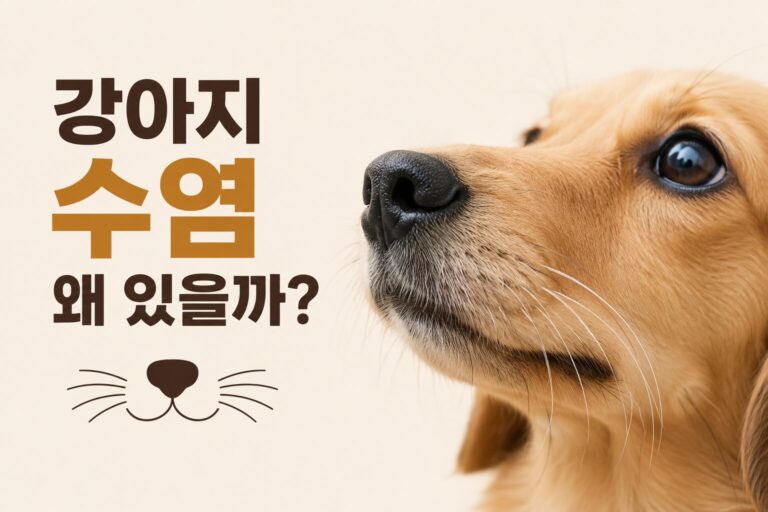 강아지 수염 자르면 안 되는 진짜 이유